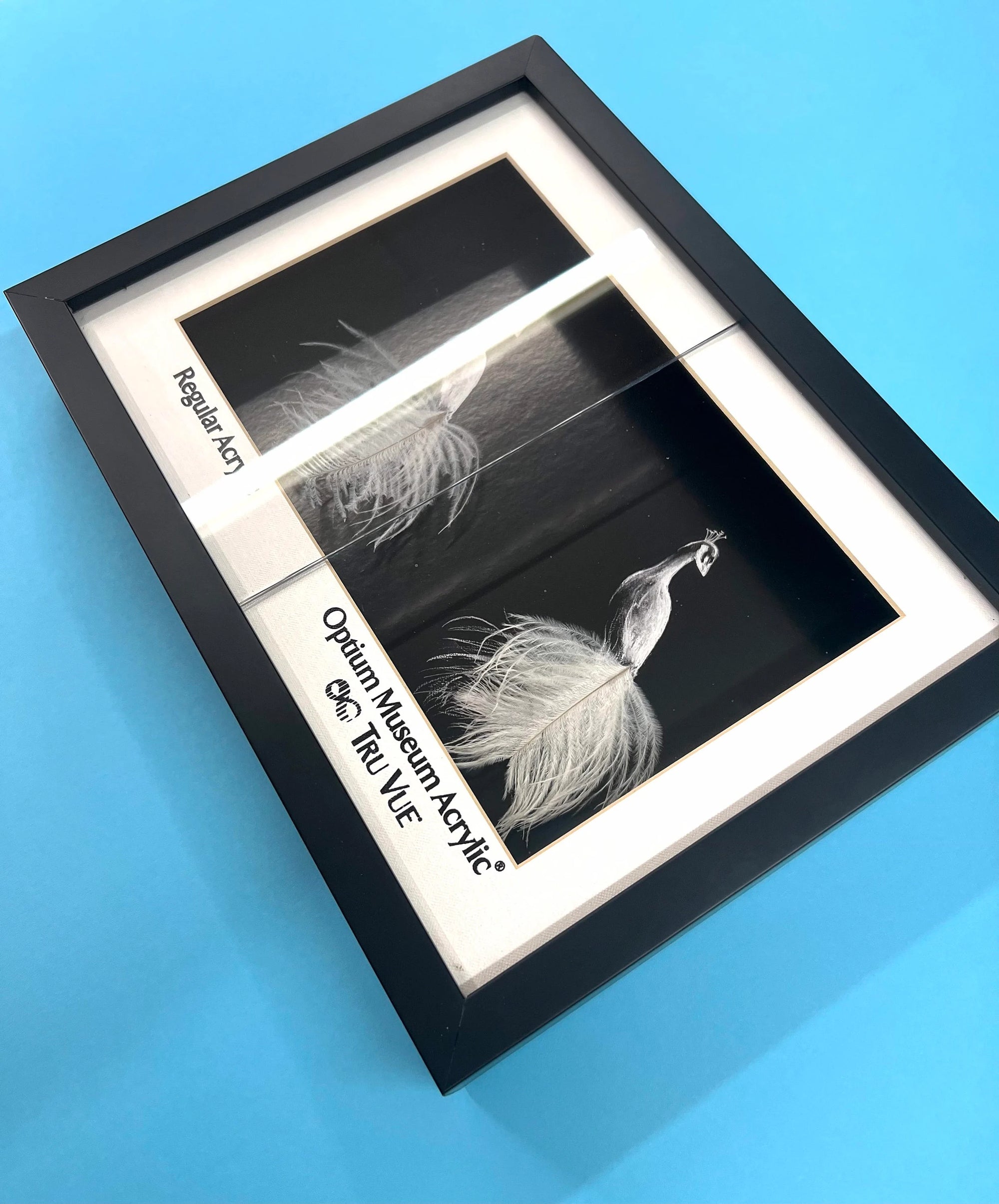 Discover the Magic of Museum Glass