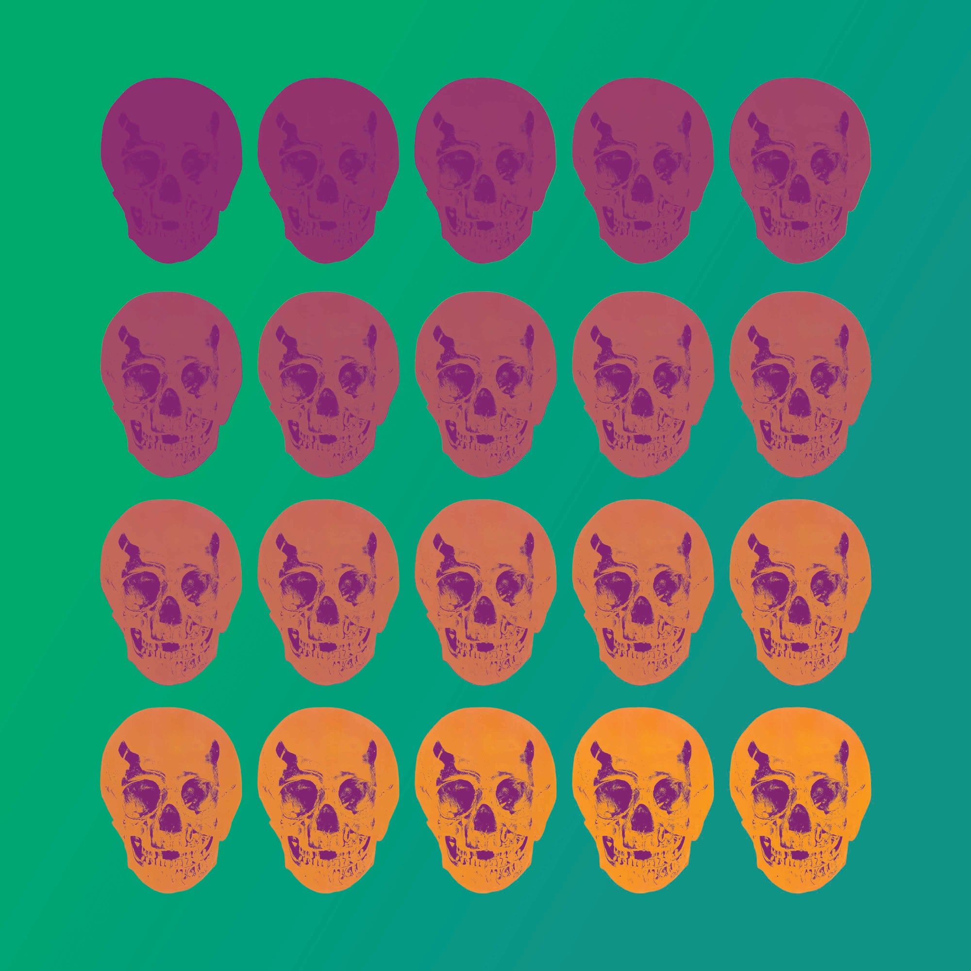 Chromatic Skulls: Mimosas in Batroun