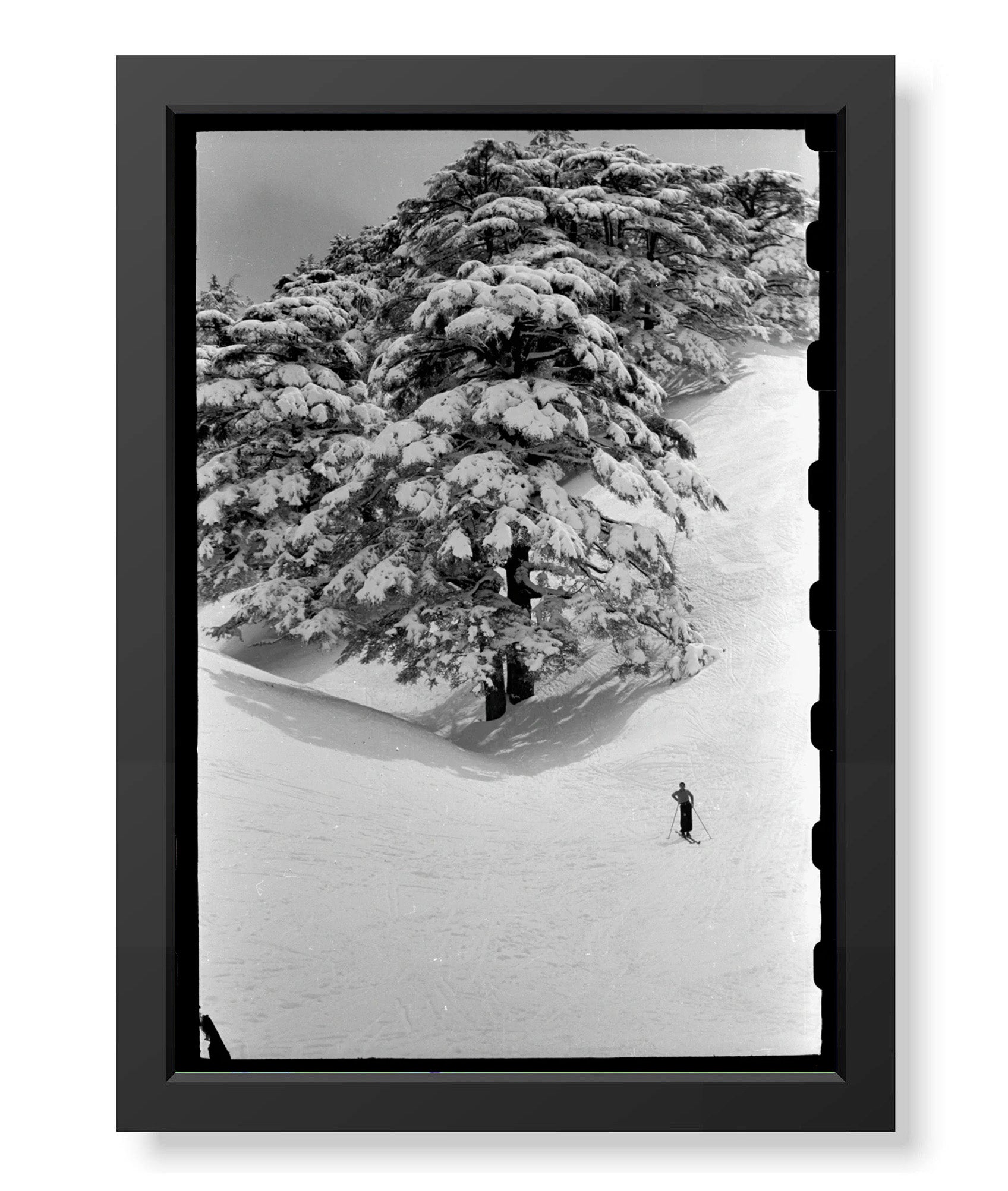 Skiing in the Cedars