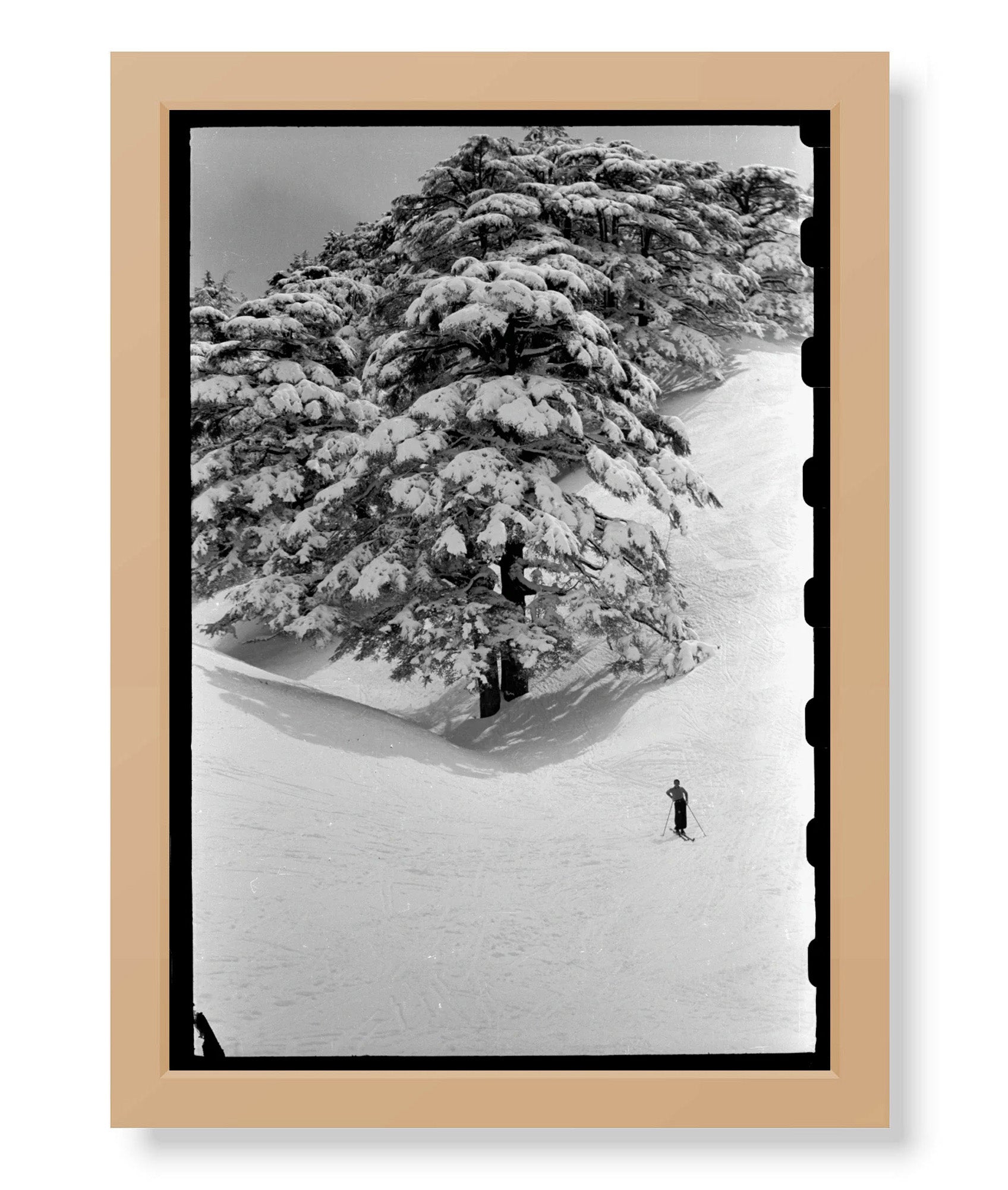 Skiing in the Cedars