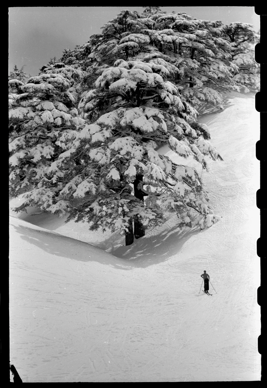 Skiing in the Cedars