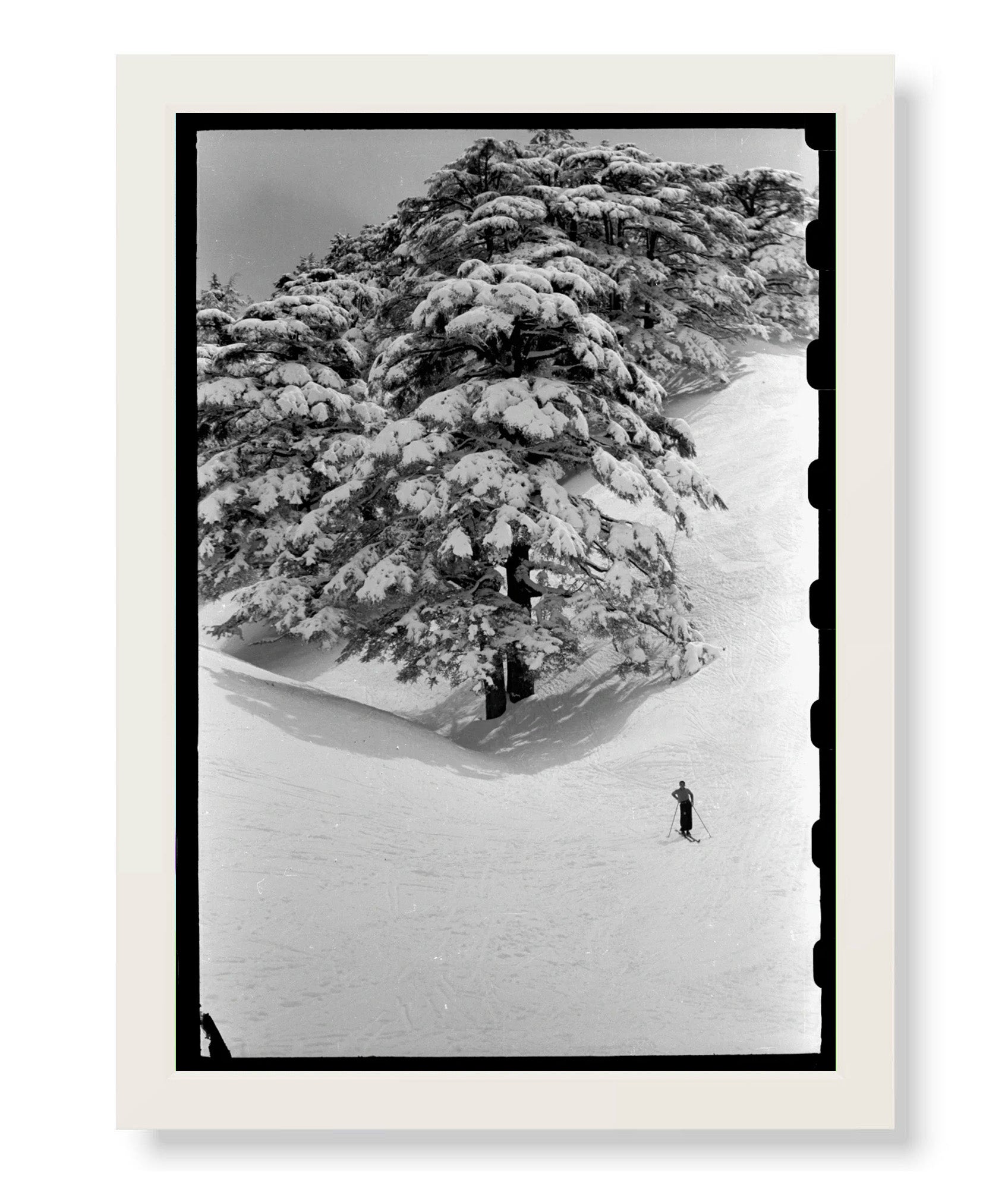 Skiing in the Cedars